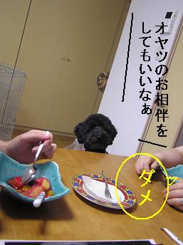 いただきましょうか...
