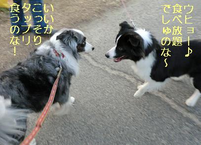 こっそりたっぷり