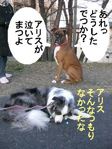 どうしたでつか