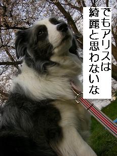 だめ