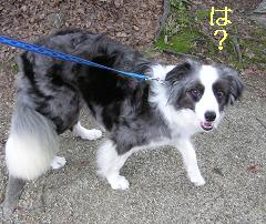 なんですと？