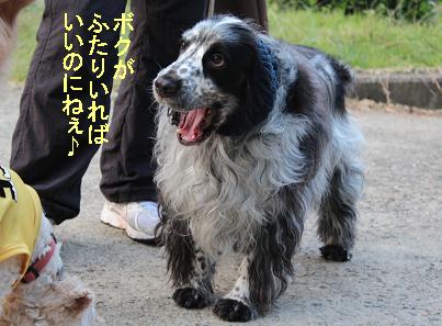 ボクがふたりいれば