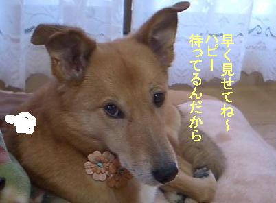 まだなの？