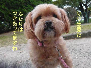 衝撃的～～～