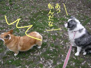 転んだな