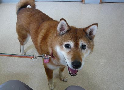 待合室でニッコリ