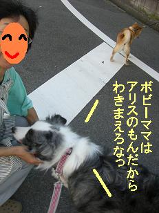 この人はアリスのもんだからっ
