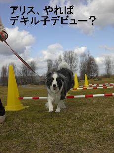 アジデビュー