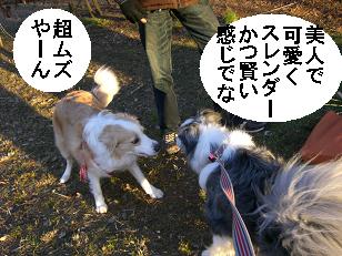 美人
