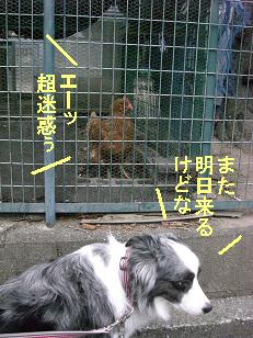 また来るね