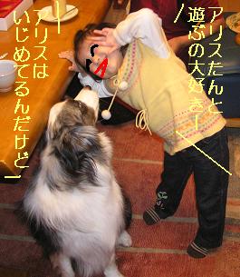 意見の食い違い