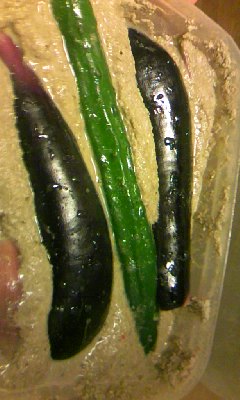 100524_1935_01.jpg