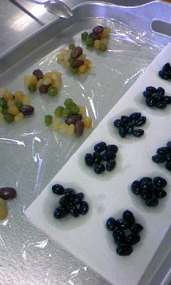100330_1035_01.jpg
