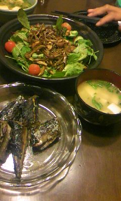 101004_1850_01.jpg