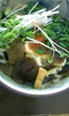 101208_1243_01.jpg