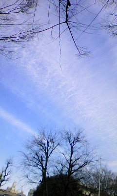 110103_1313_01.jpg