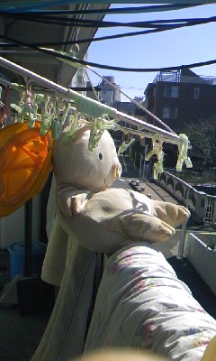 100220_1228~01.jpg
