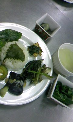 090827_1846~02.jpg