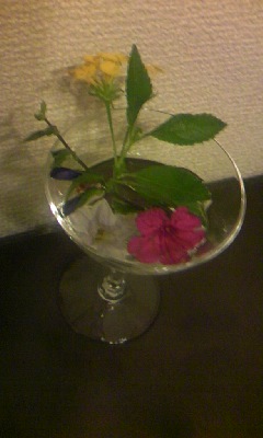 100910_1950_01.jpg