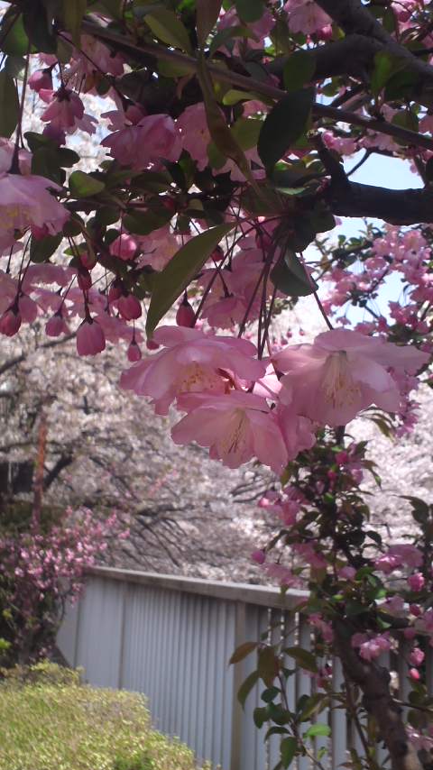 110411_1314_01.jpg