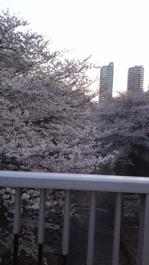 110406_1758_01.jpg
