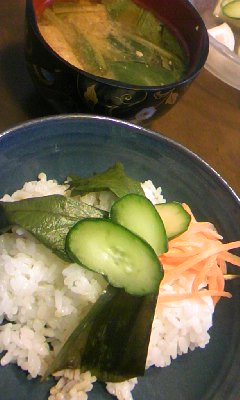 090815_1231~01.jpg