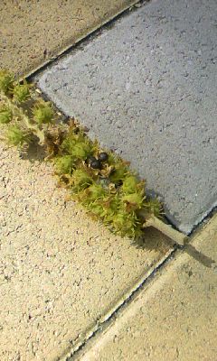 101003_1236_01.jpg