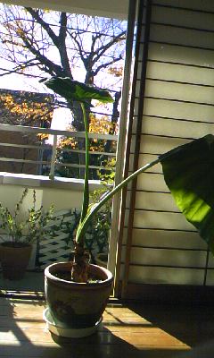 101215_1010_01.jpg