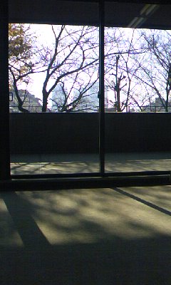 101220_1249_01.jpg