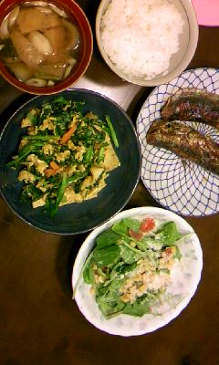 090831_1814~01.jpg