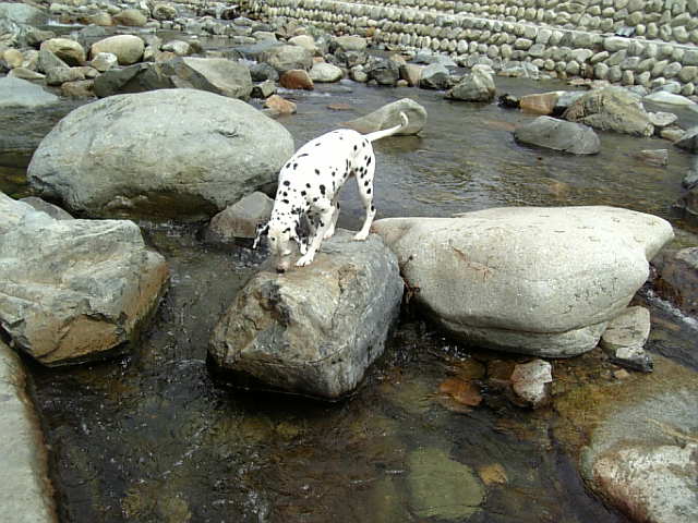 Image0451.jpg