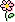 flower_icon