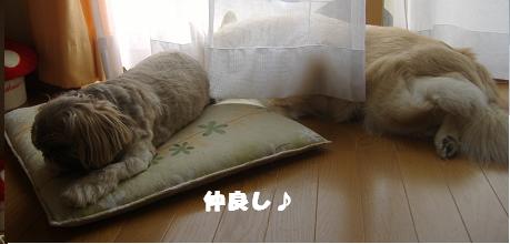 仲良し.JPG