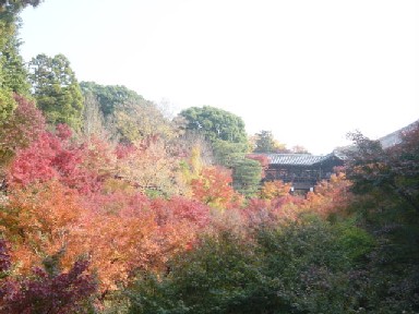 東福寺