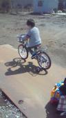 201004111128000.jpg