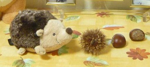 ハリネズミさんが栗の毬に対抗してるよ～（笑）