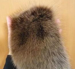 こんなボリューム！（フォックスマフラー・ＢＲ）