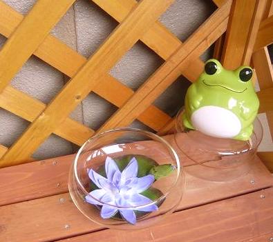 １００均の貯金箱の蛙さんにガラス鉢と睡蓮