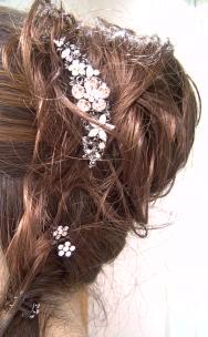 ブリアコームＭ（Ｖローズ）