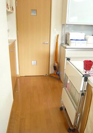 シンク横の廊下に置いてみた