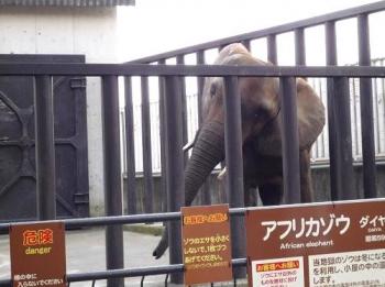 山地獄／ぞうさん