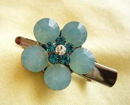 ミニクリップ／パシオパ