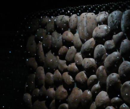 ウォーターパール