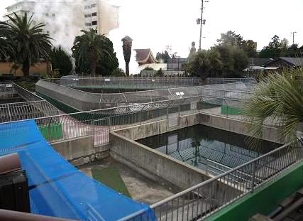 鬼山地獄／まるで養殖場