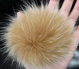 フォックスボンボンＢＲ　