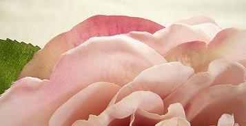 花びらの先の変色や枯れ具合がリアルです