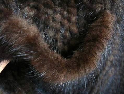 麻布　Q.T　FUR／ミンクストール（ポケット口部分２）