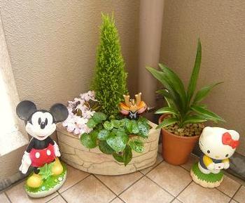 排水溝隠しの鉢植えはこんな感じ