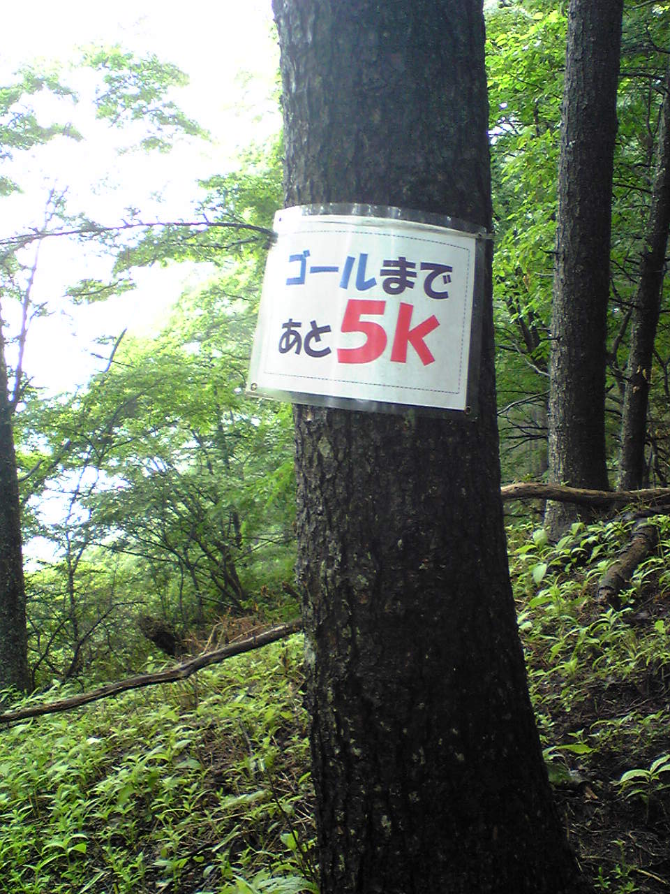 ラスト５Ｋ.jpg