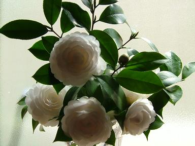 2006_0325画像00641.JPG